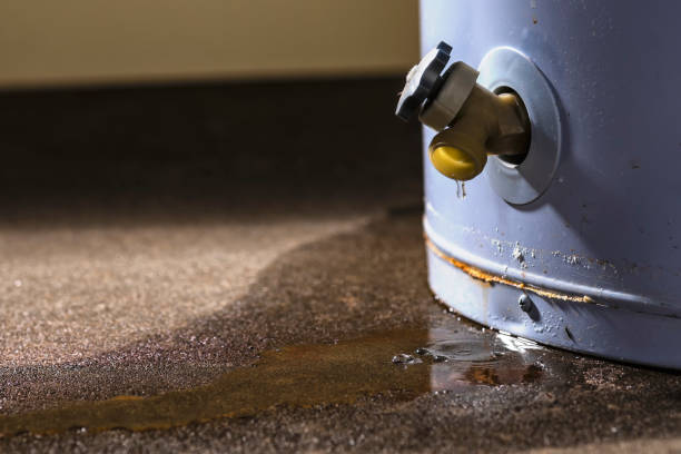 Best Water damage restoration services  in Cedar Lake, IN