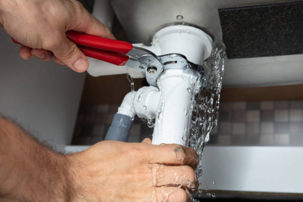 Best Water damage contractors near me  in Cedar Lake, IN
