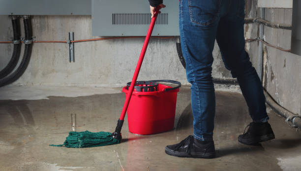 Best Emergency water damage restoration  in Cedar Lake, IN