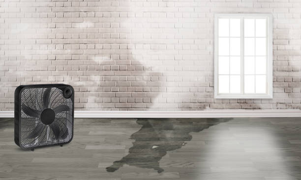 Best Emergency water damage restoration  in Cedar Lake, IN
