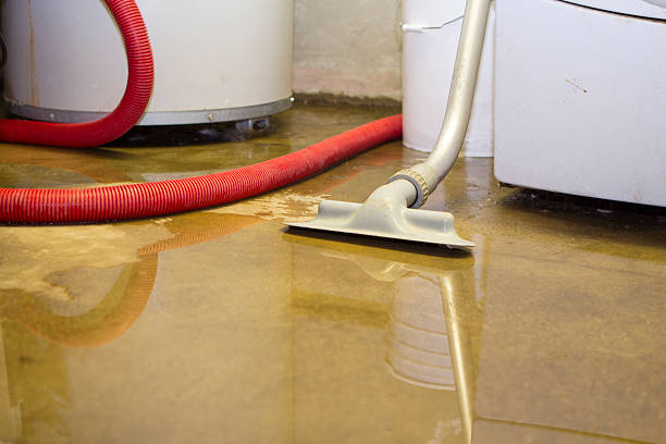 Professional Water damage restoration in Cedar Lake, IN