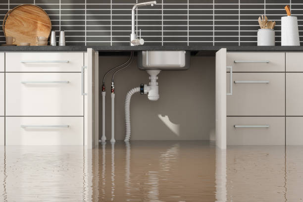 Best Professional water damage repair  in Cedar Lake, IN