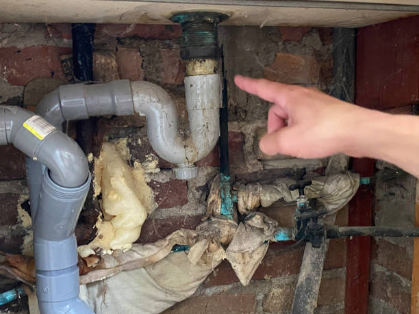 Best Water damage cleanup near me  in Cedar Lake, IN