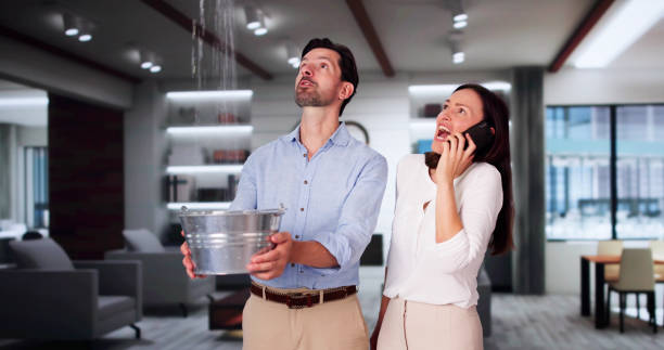 Best Ceiling water damage repair  in Cedar Lake, IN