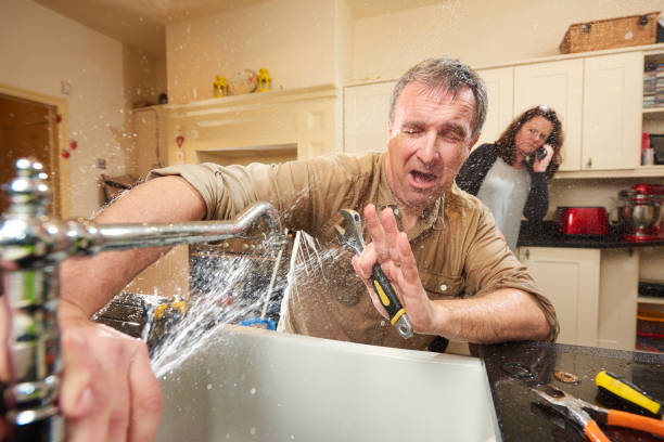 Best Water damage cleanup near me  in Cedar Lake, IN